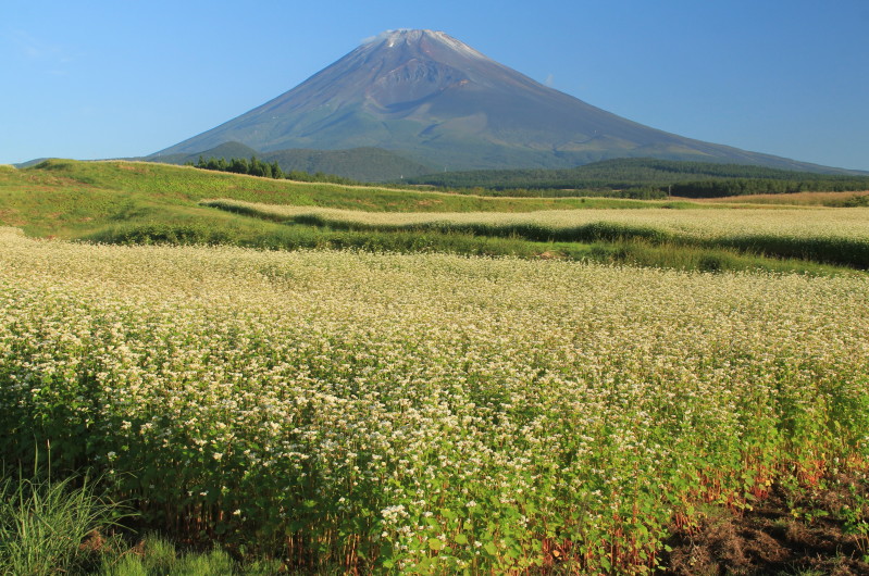 富士山画像記録