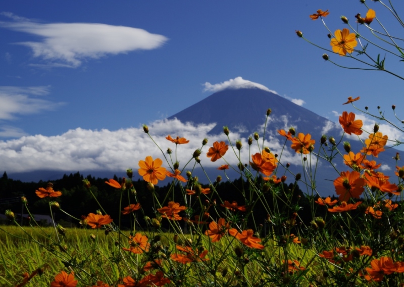 富士山画像作品