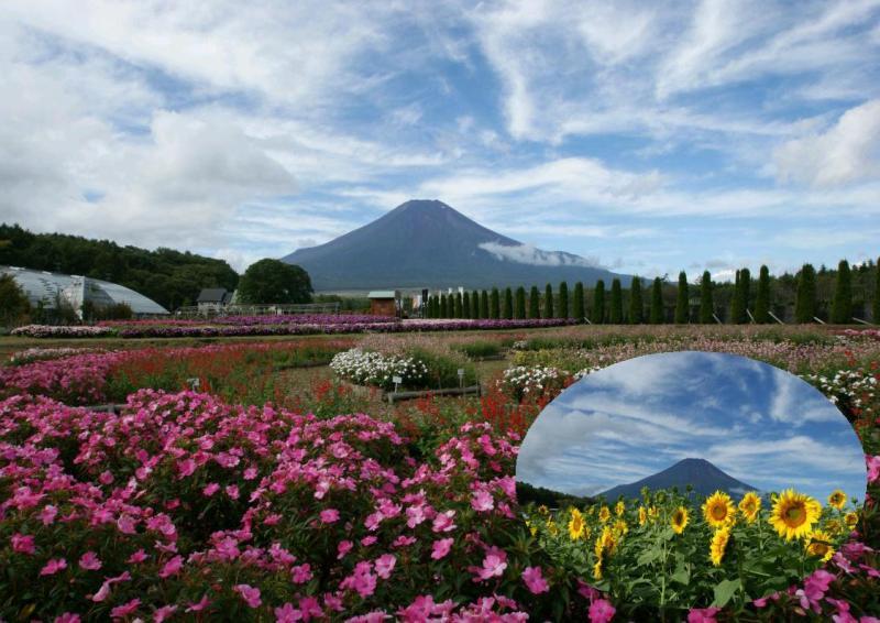 富士山画像記録