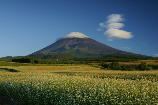 富士山画像作品