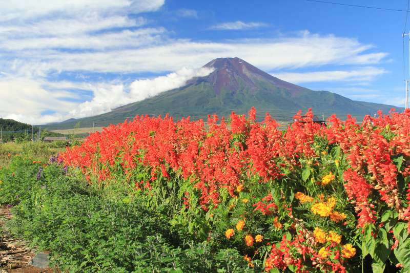 富士山画像記録