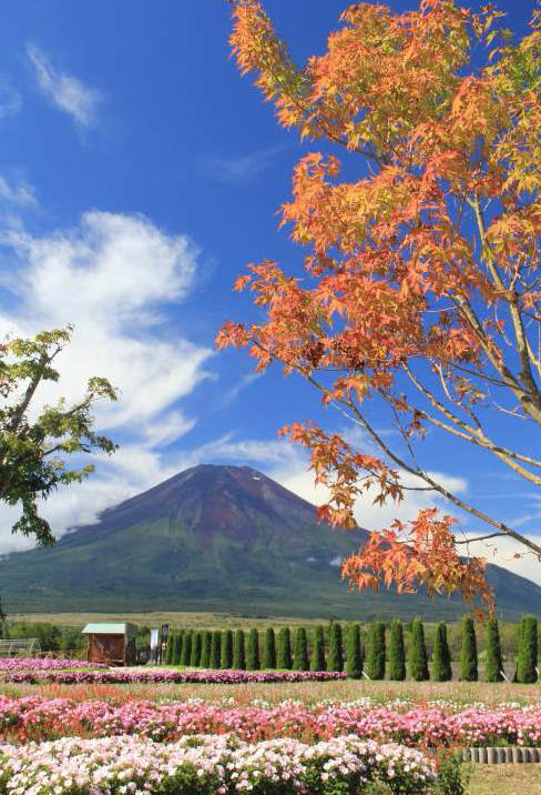 富士山画像記録