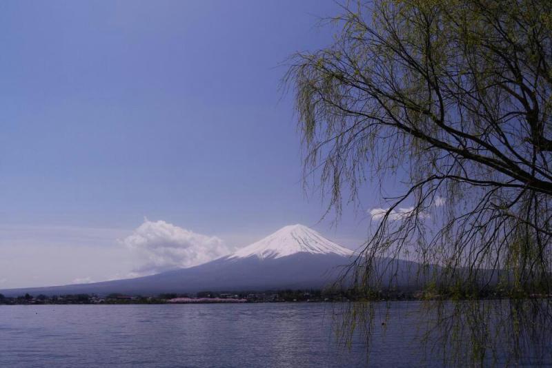 富士山画像作品