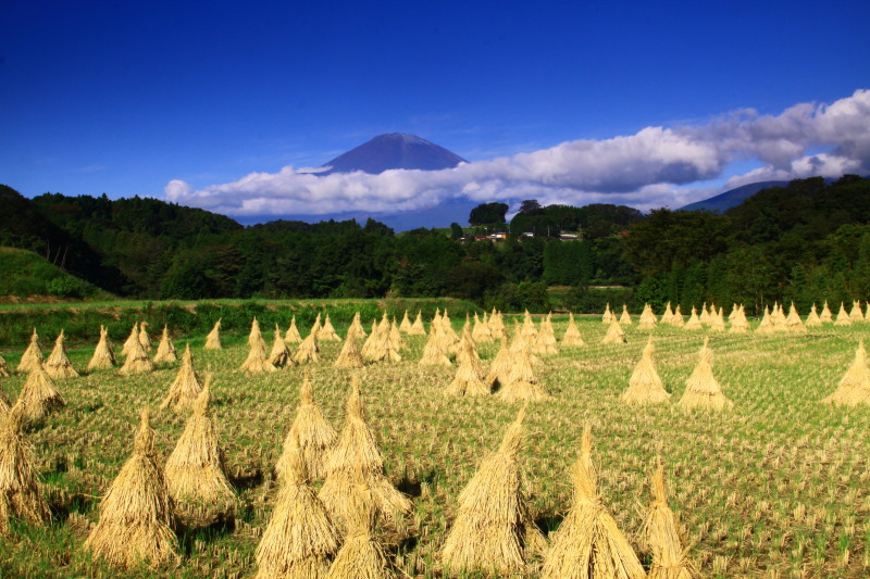 富士山画像記録