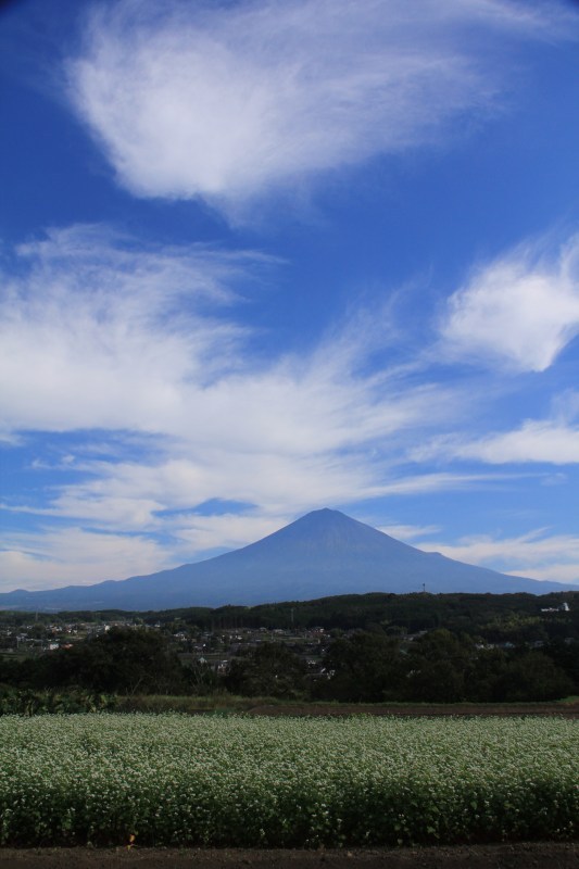 富士山画像記録