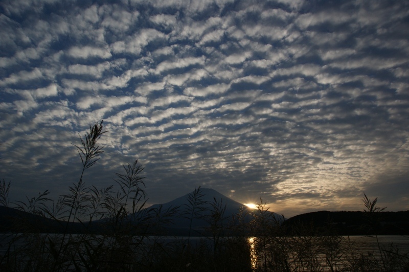 富士山画像記録