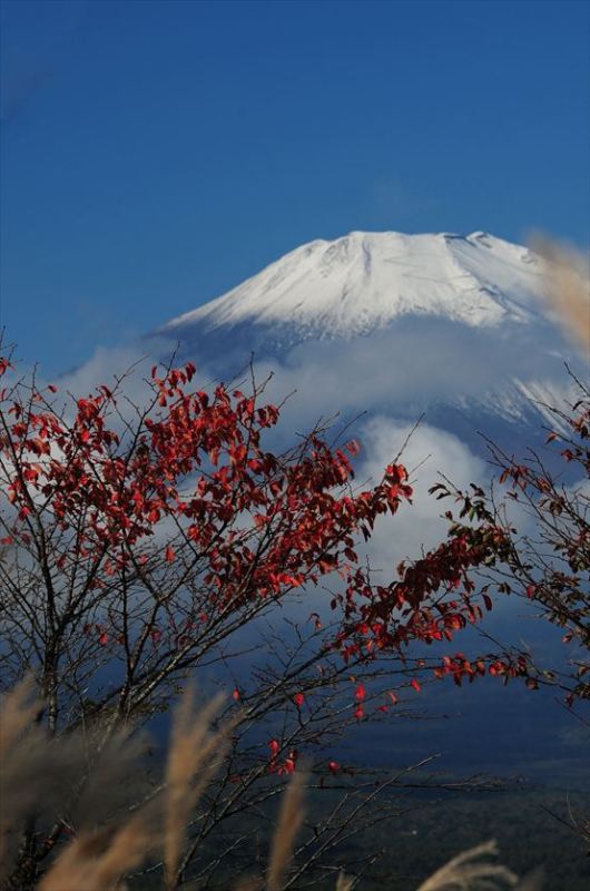 富士山画像作品