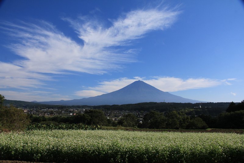 富士山画像記録