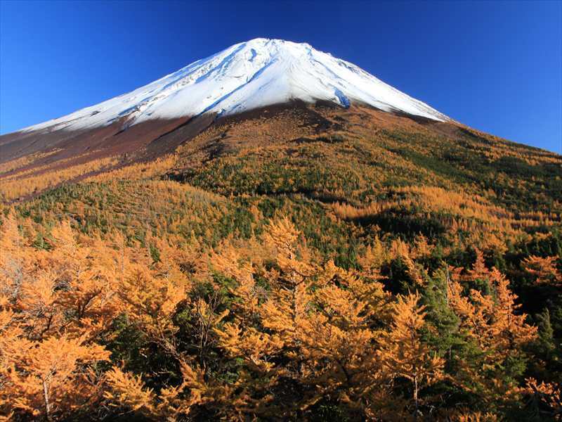 富士山画像記録