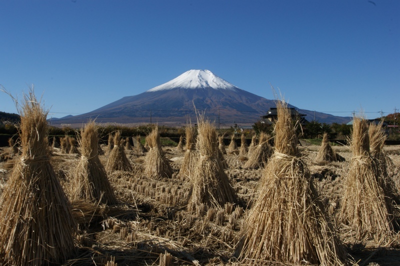 富士山画像記録