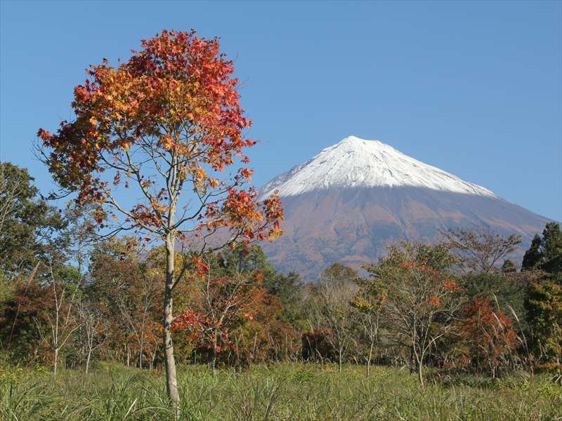 富士山画像記録