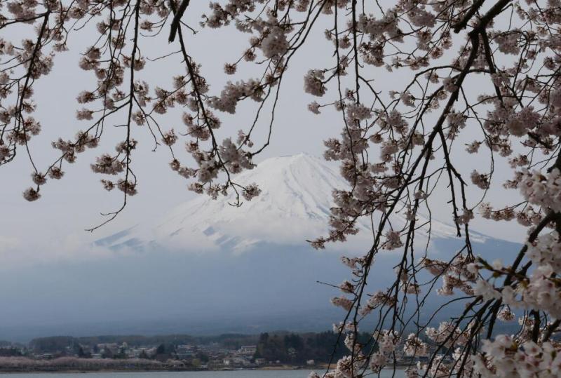 富士山画像作品