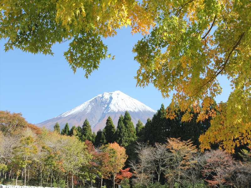 富士山画像記録