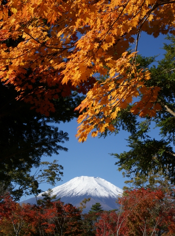 富士山画像作品