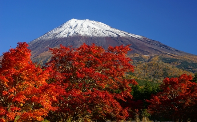 富士山画像作品