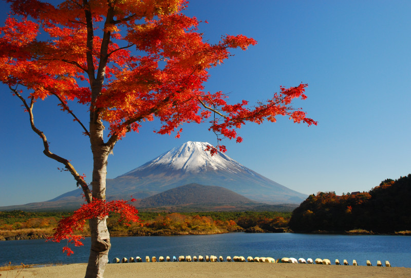 富士山画像作品