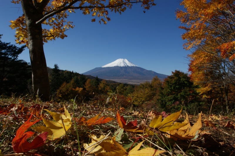 富士山画像記録