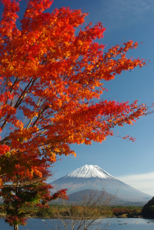 富士山画像作品