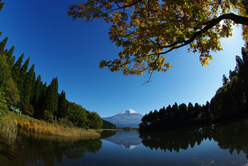 富士山画像作品