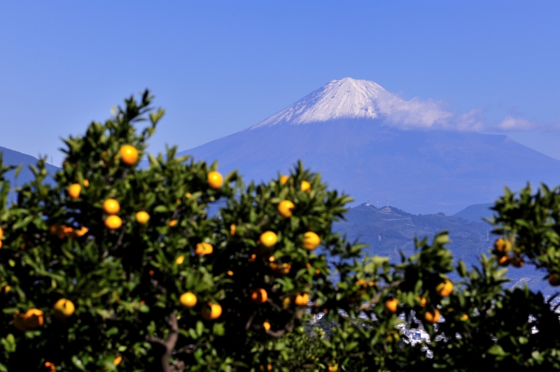 富士山画像作品