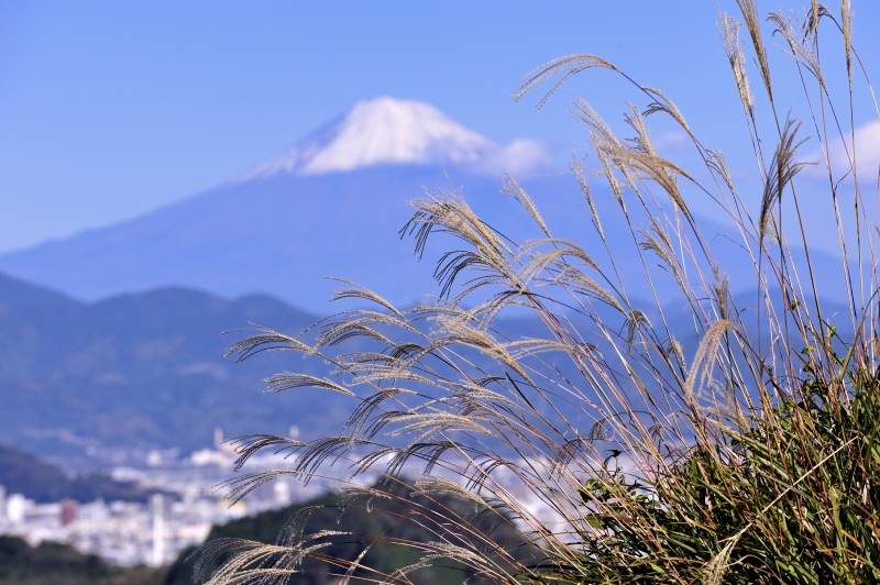 富士山画像作品