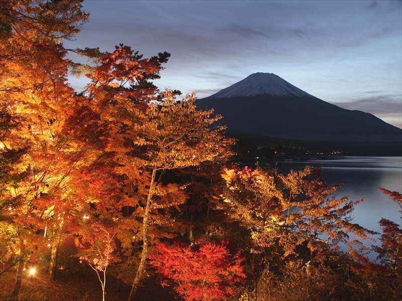 富士山画像記録