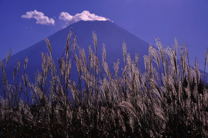 富士山画像作品