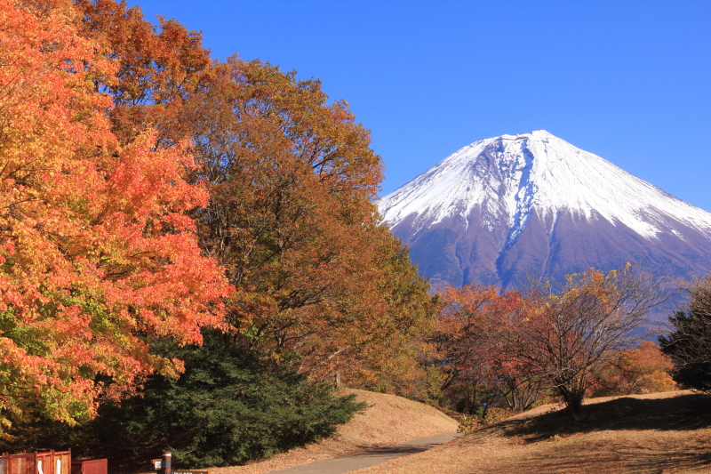 富士山画像記録