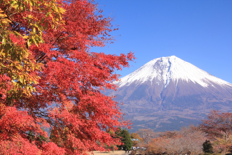 富士山画像記録