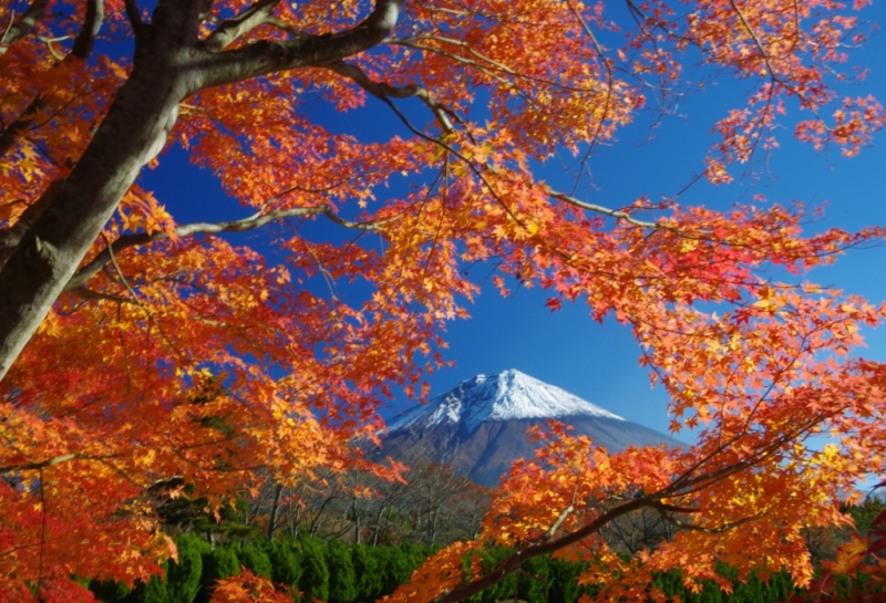 富士山画像作品