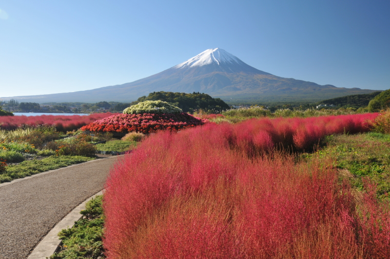 富士山画像記録