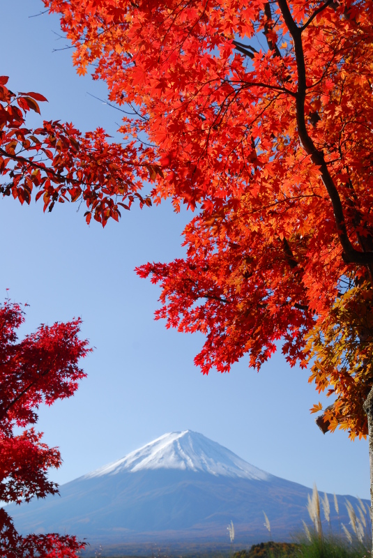 富士山画像作品