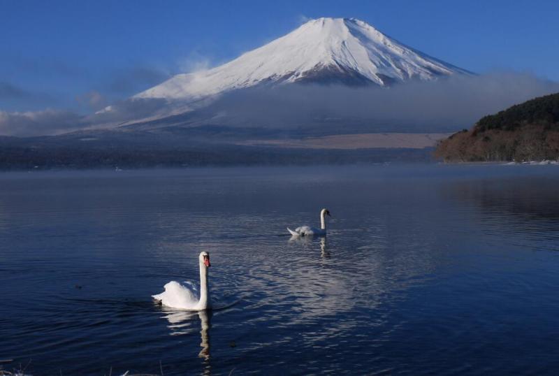 富士山画像作品