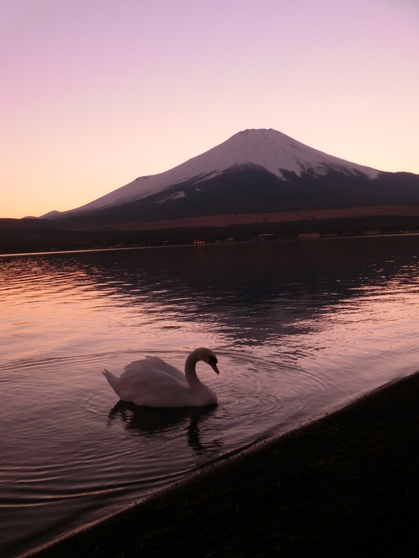 富士山画像作品