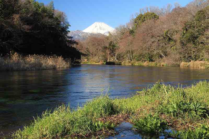 富士山画像記録