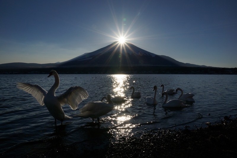 富士山画像記録