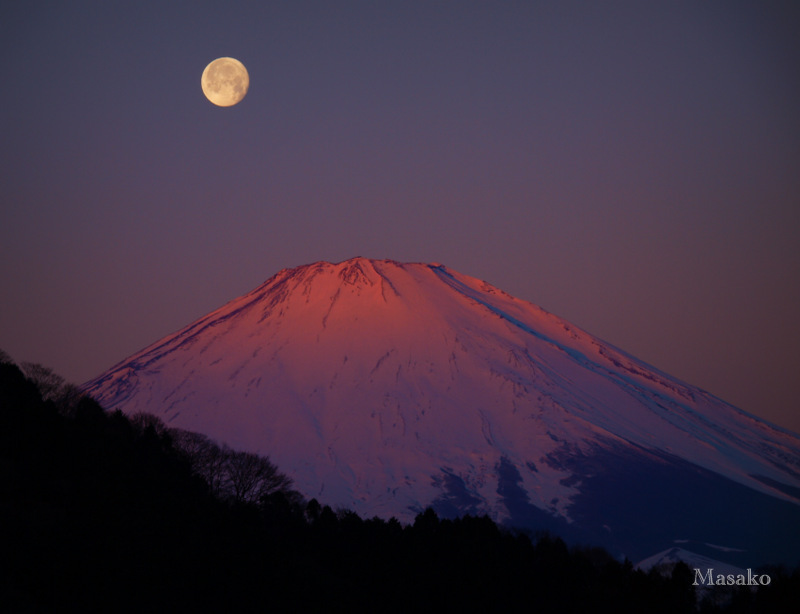 富士山画像記録