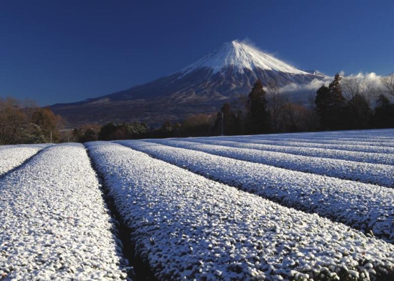 富士山画像作品