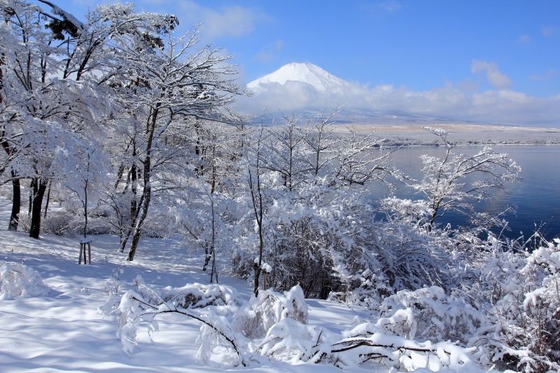 富士山画像記録