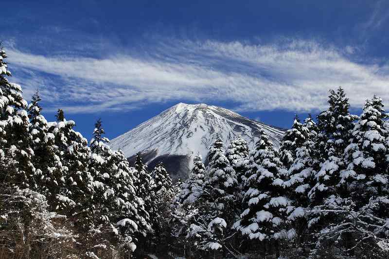 富士山画像記録