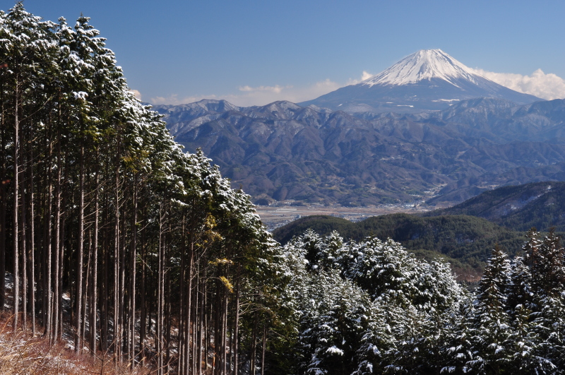 富士山画像作品