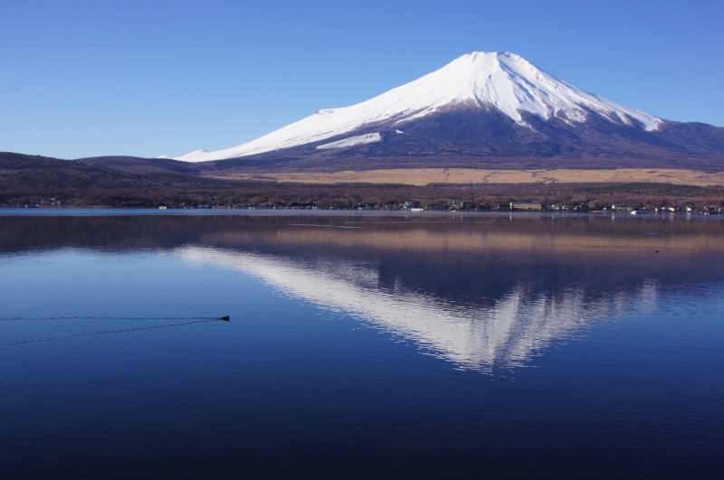 富士山画像作品