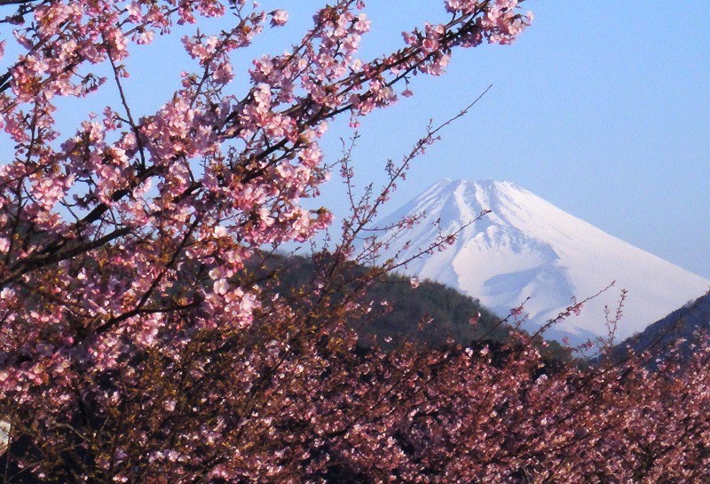 富士山画像作品