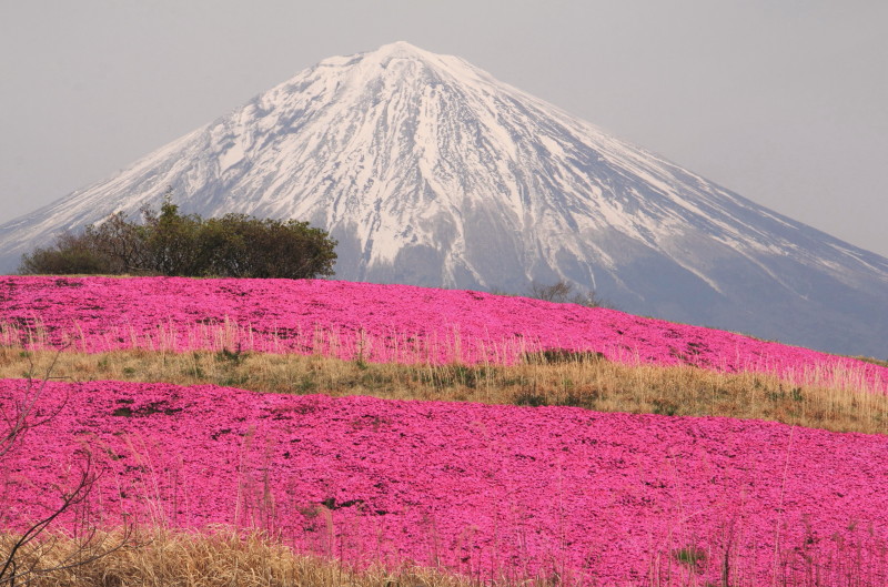 富士山画像記録