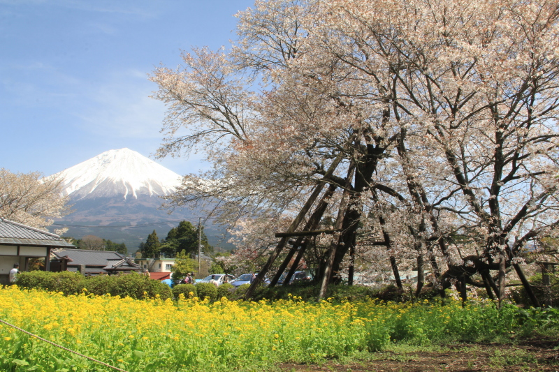 富士山画像記録