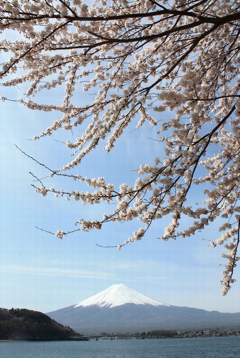 富士山画像作品