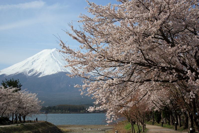 富士山画像作品