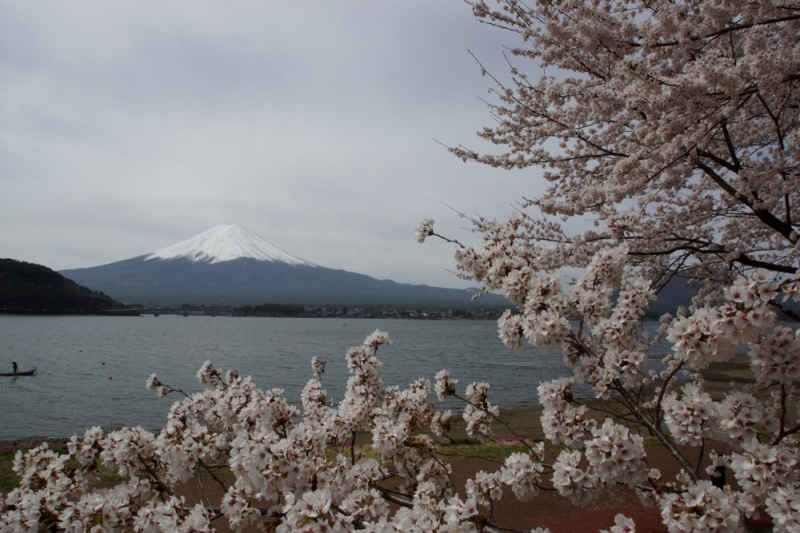 富士山画像記録