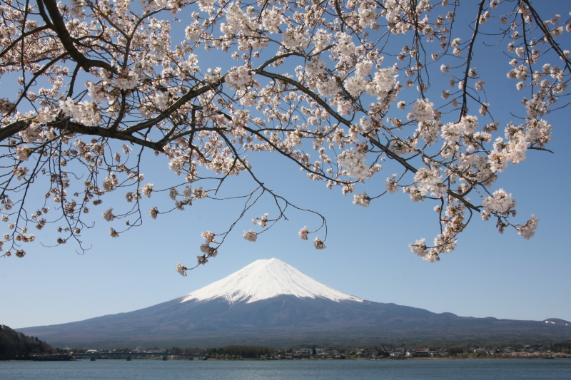 富士山画像作品