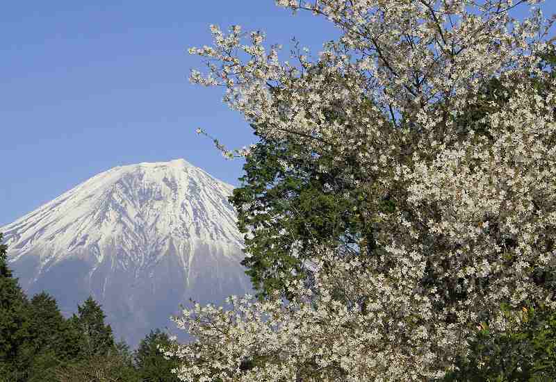 富士山画像記録